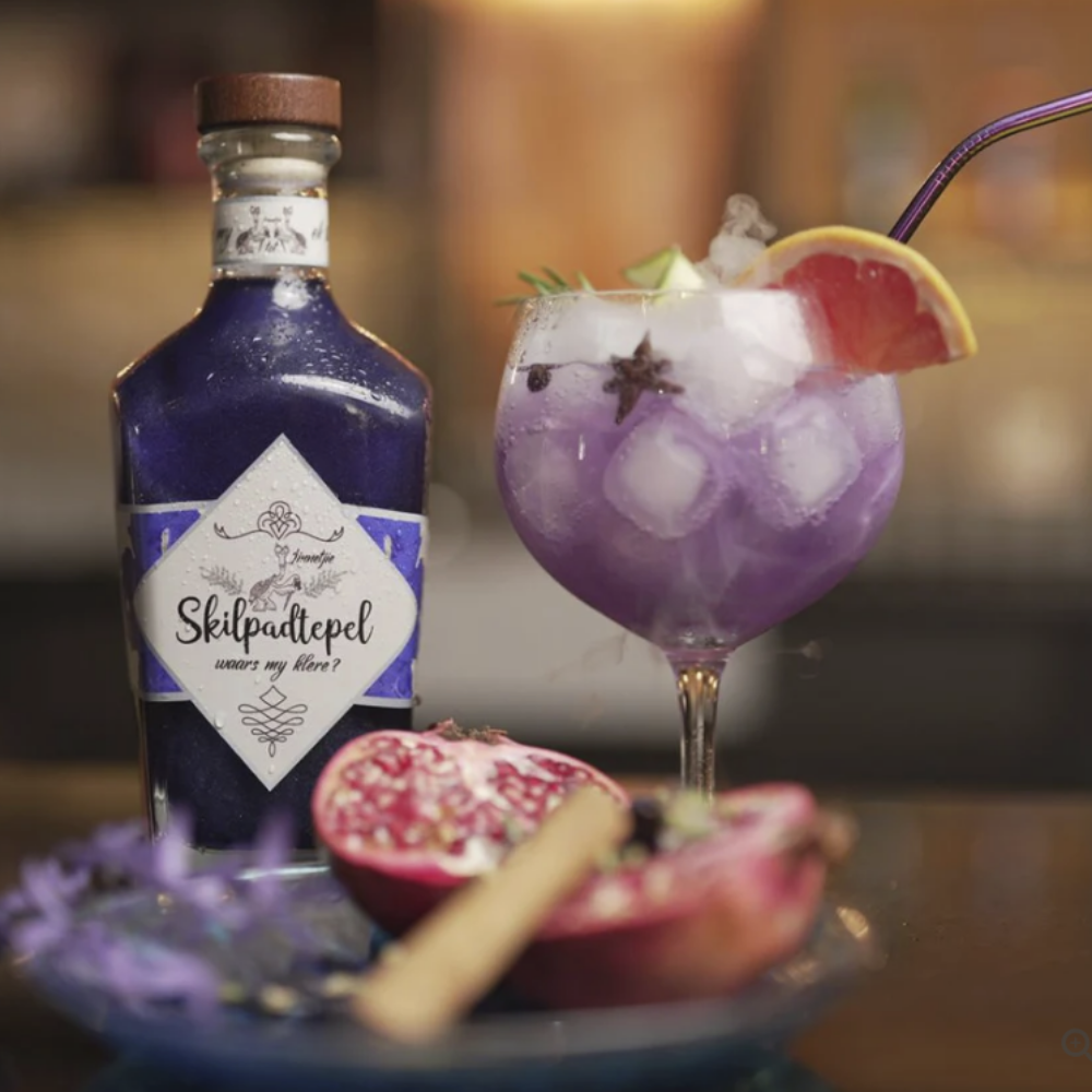 Skilpadtepel - Where are my clothes?